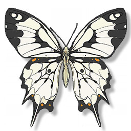 Icon for Phoenix Butterfly