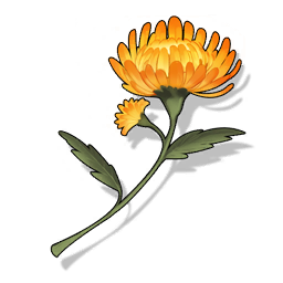 Icon for Sunflare Everlasting