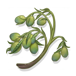 Icon for Felicitous Olives