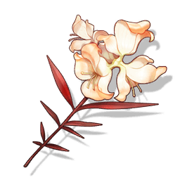 Icon for Bloodleaf Viburnum