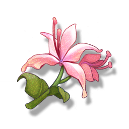 Icon for Pecok Flower